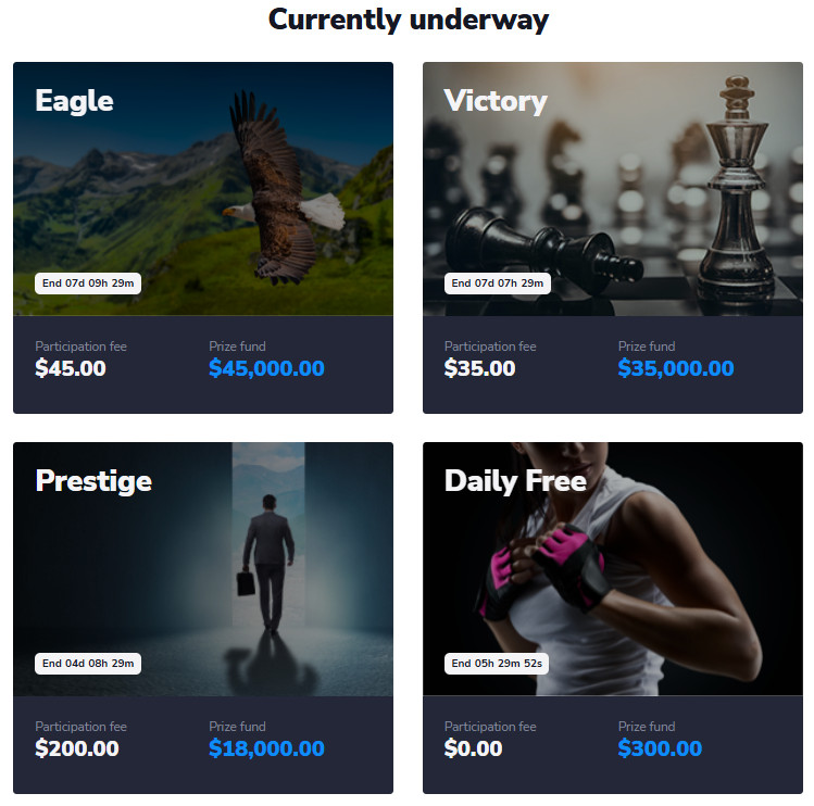 stockity perdagangan online, stockity investment